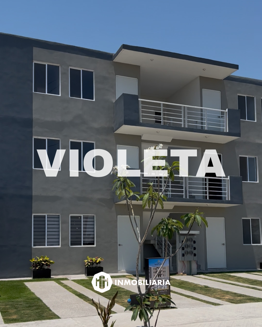 Natura Modelo Violeta